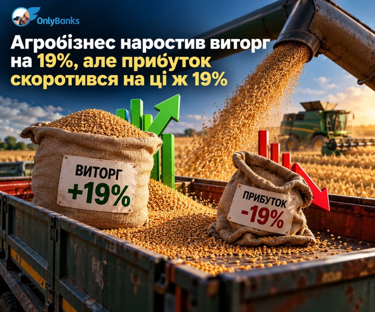 Агробізнес наростив виторг на 19%, але прибуток скоротився на ці ж 19%